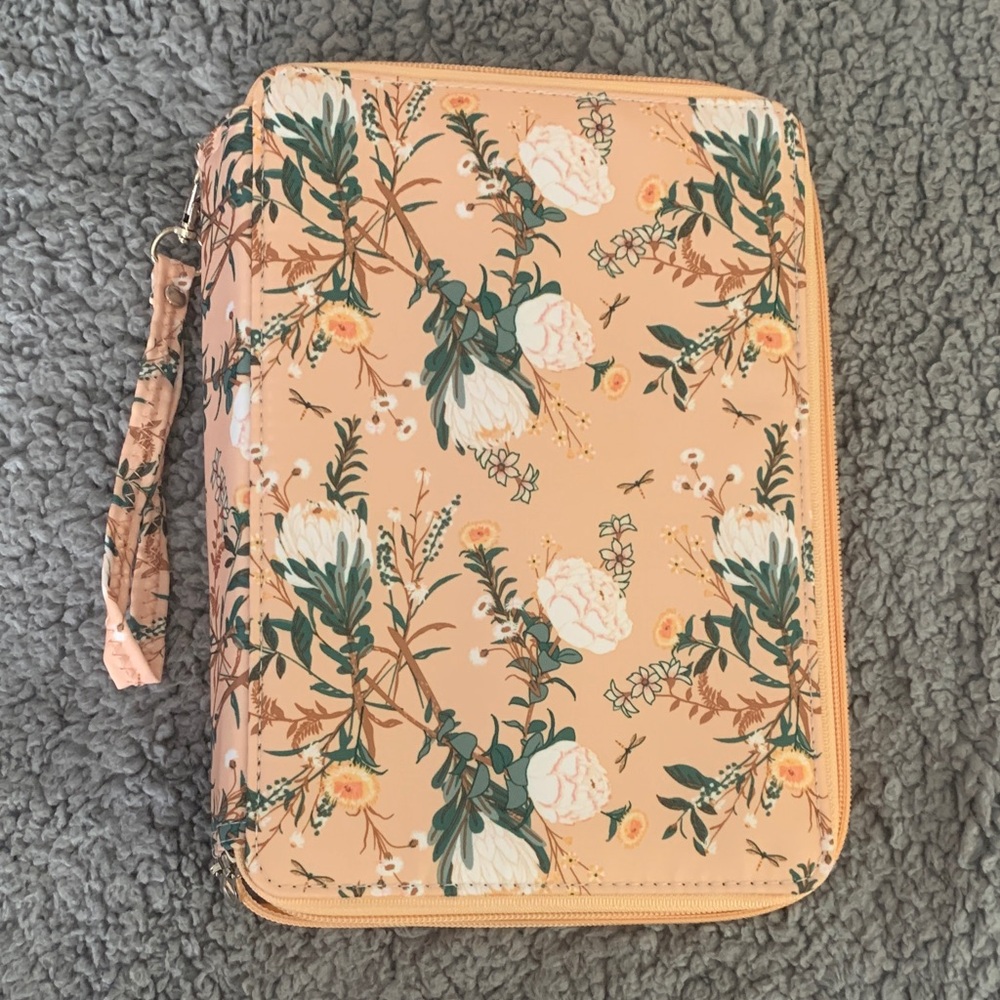 Artist organizer case.